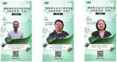 声动湾区，情系麻章：采购商打call见证双向奔赴的农业之约